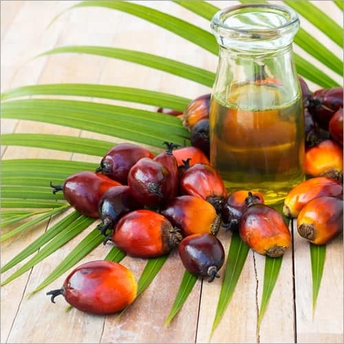 چرا استفاده از روغن پالم می تواند خطرناک باشد؟