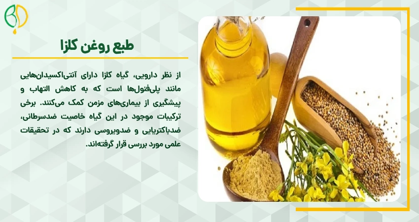 طبع روغن کلزا