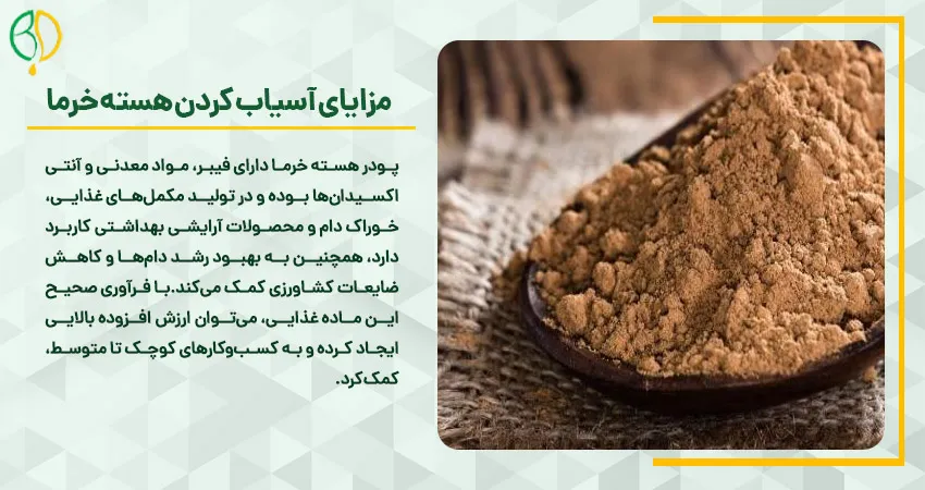 مزایای آسياب كردن هسته خرما