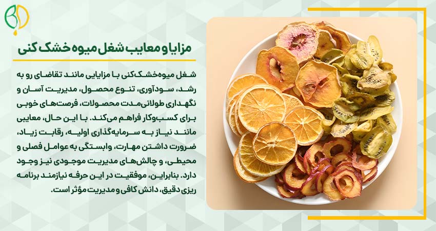 مزایا و معایب شغل میوه خشک کنی