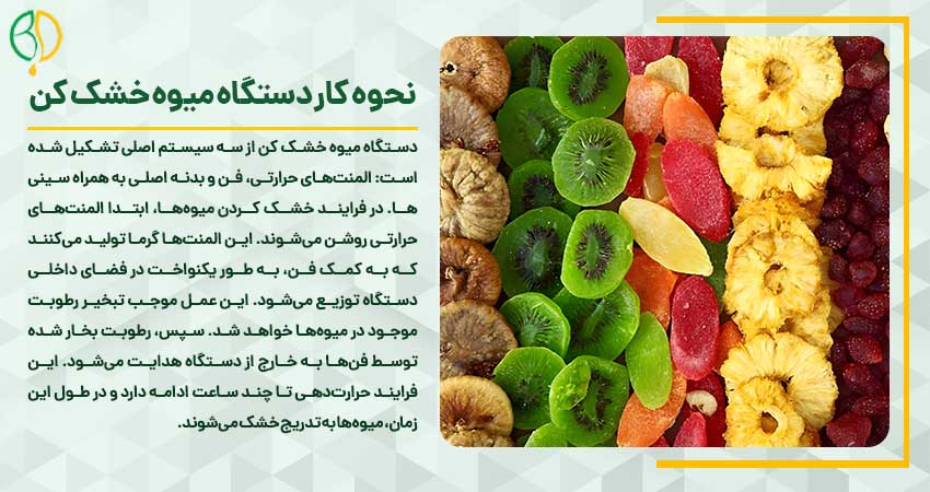 نحوه کار دستگاه میوه خشک کن