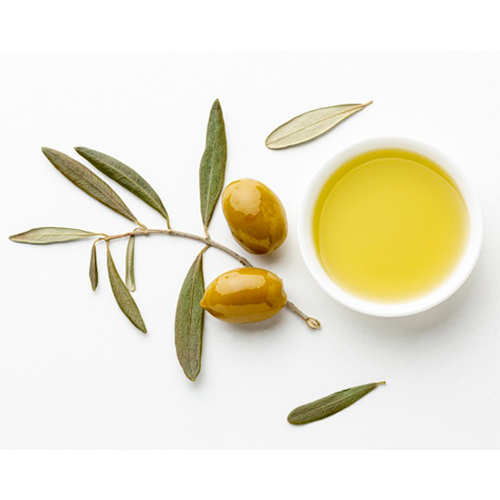 چه زیتونی برای روغن گیری مناسب است؟