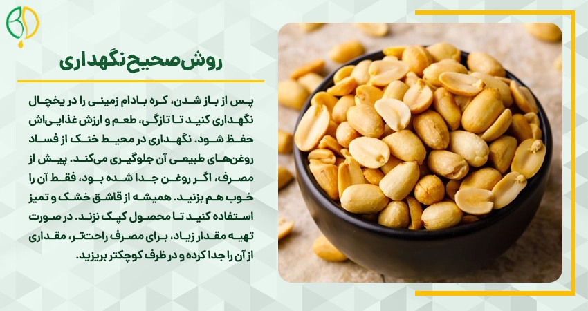 peanut butter benefits men health 04