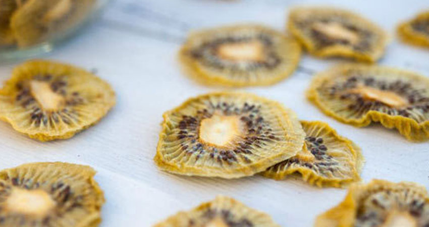 مشخصات یک دستگاه میوه خشک کن خوب چیست؟